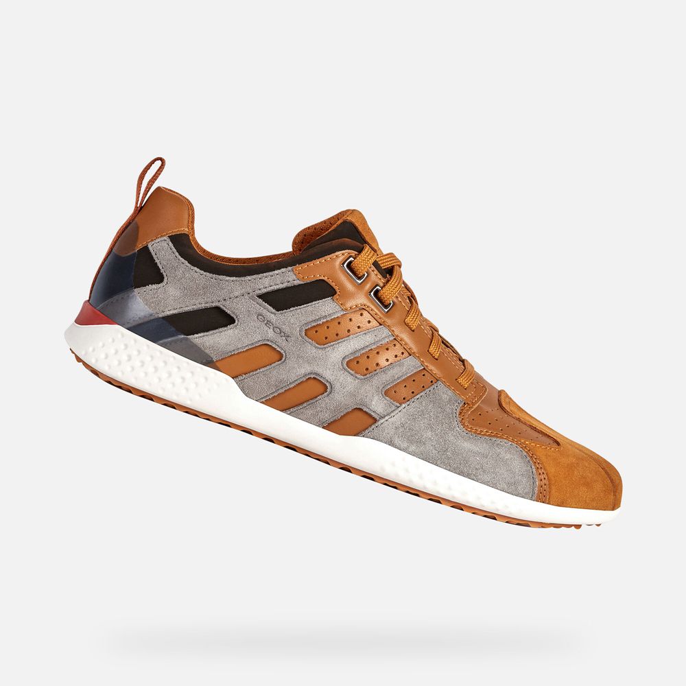 Geox Sneakers Orange/Grey Snake.2 - Geox Mens Shoes - WGNMKI832